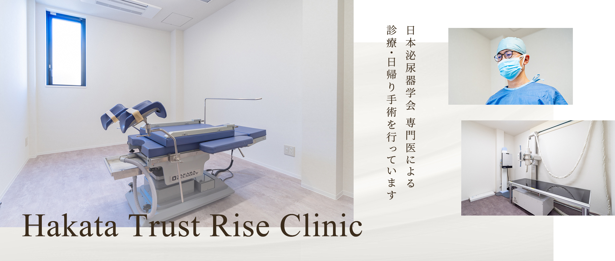 公式案内画像