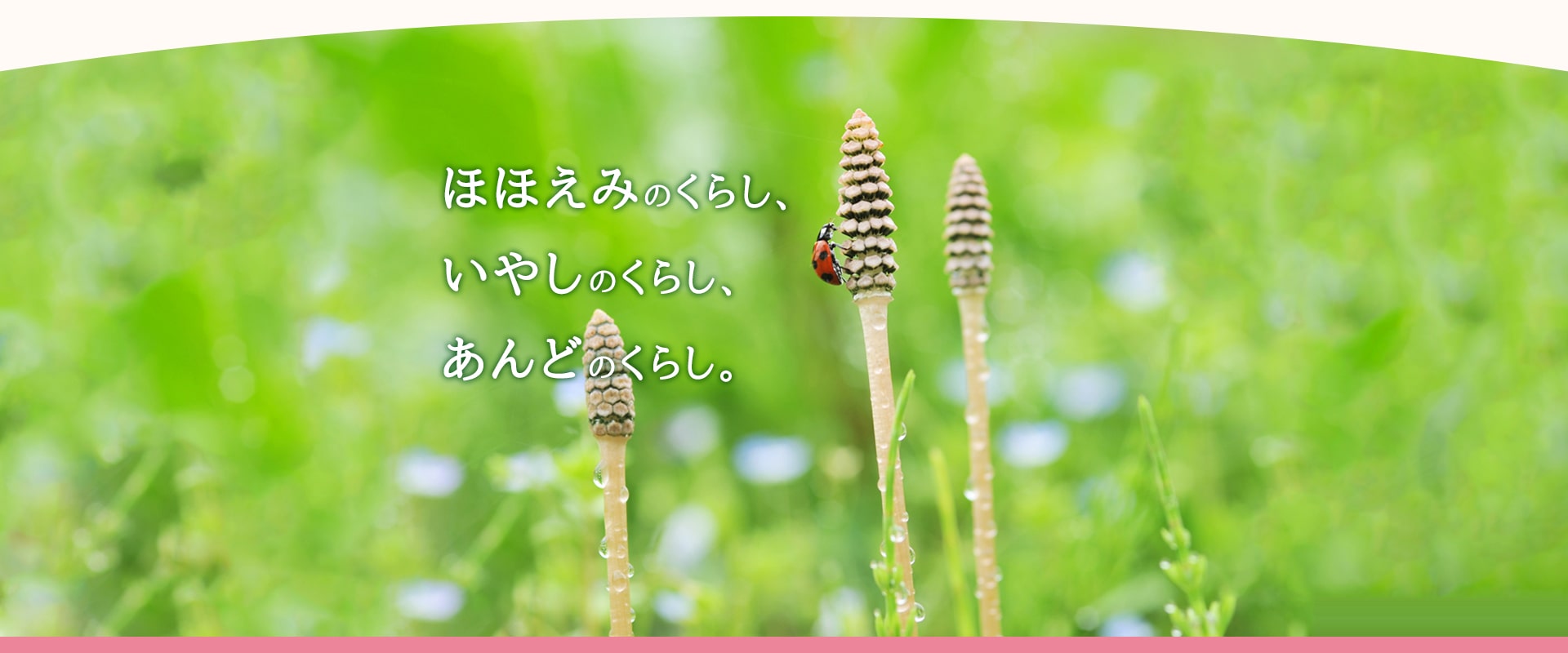 つくしの会訪問看護ステーション の写真