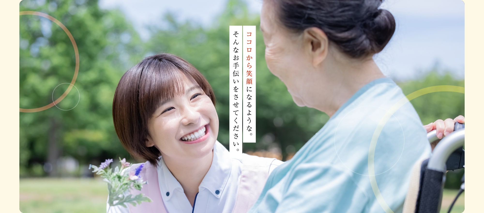 公式案内画像