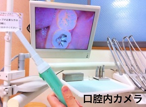公式案内画像