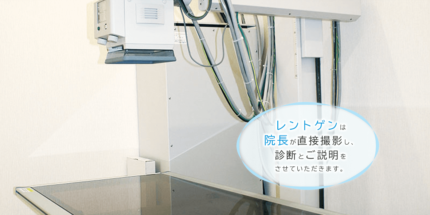 公式案内画像