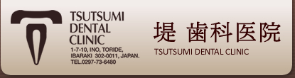 堤歯科医院