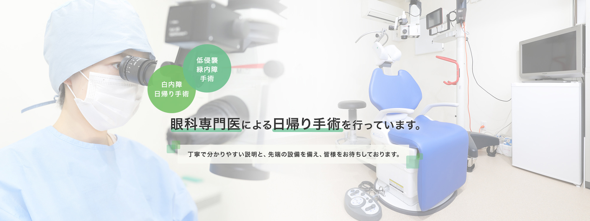 公式案内画像