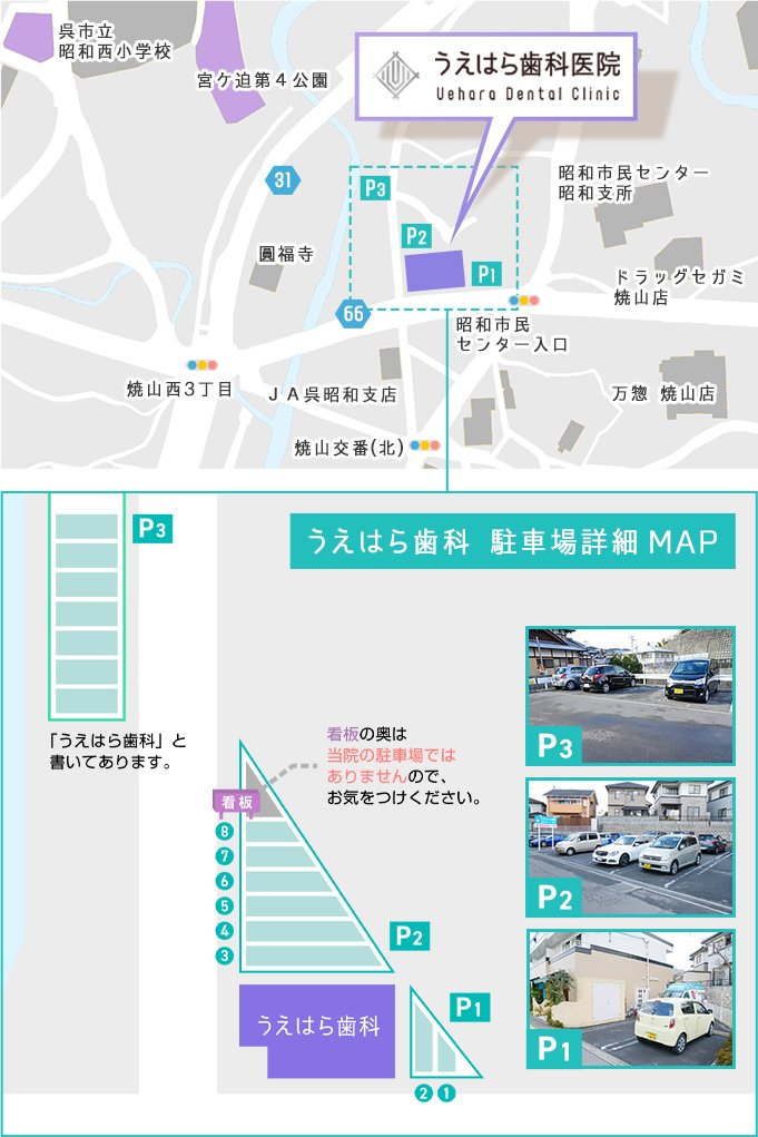 公式案内画像