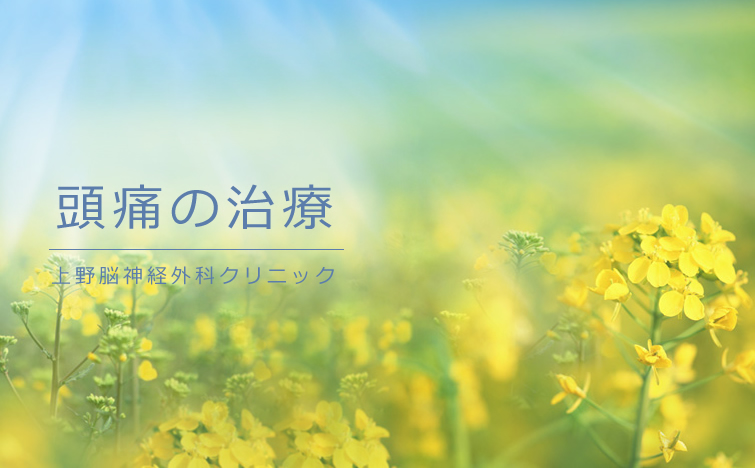 上野脳神経外科クリニック の写真