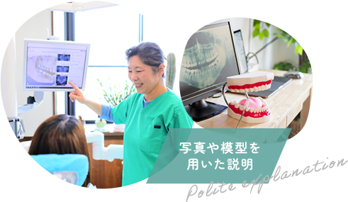 公式案内画像