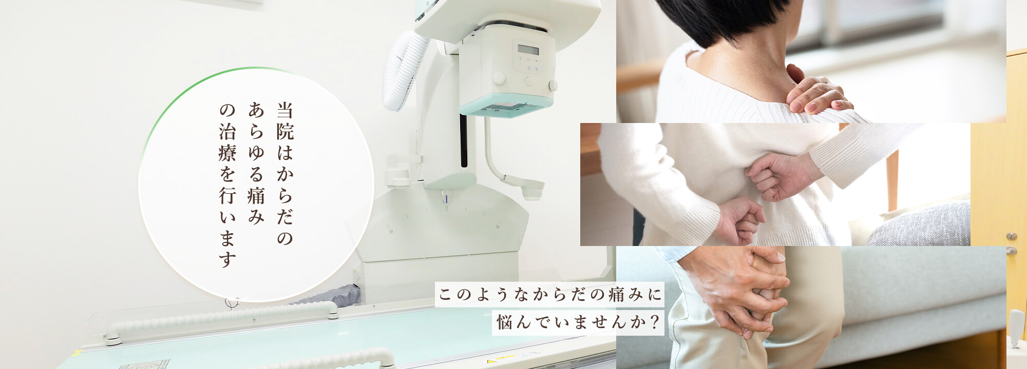 公式案内画像