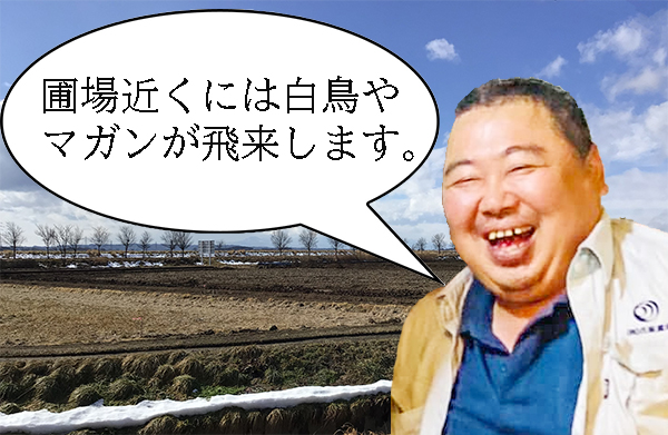 公式案内画像