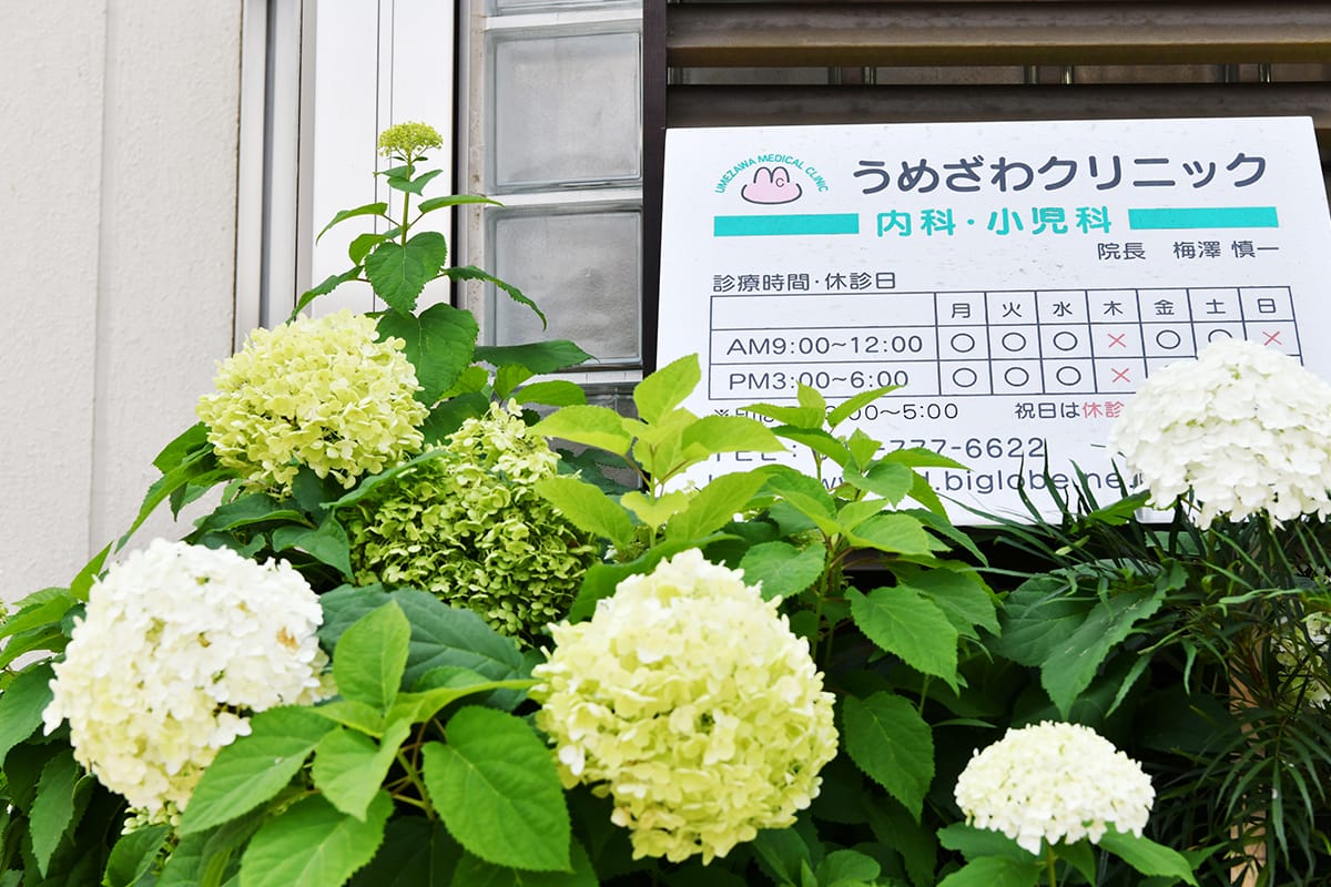公式案内画像