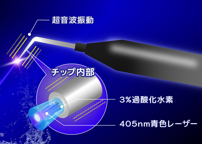公式案内画像