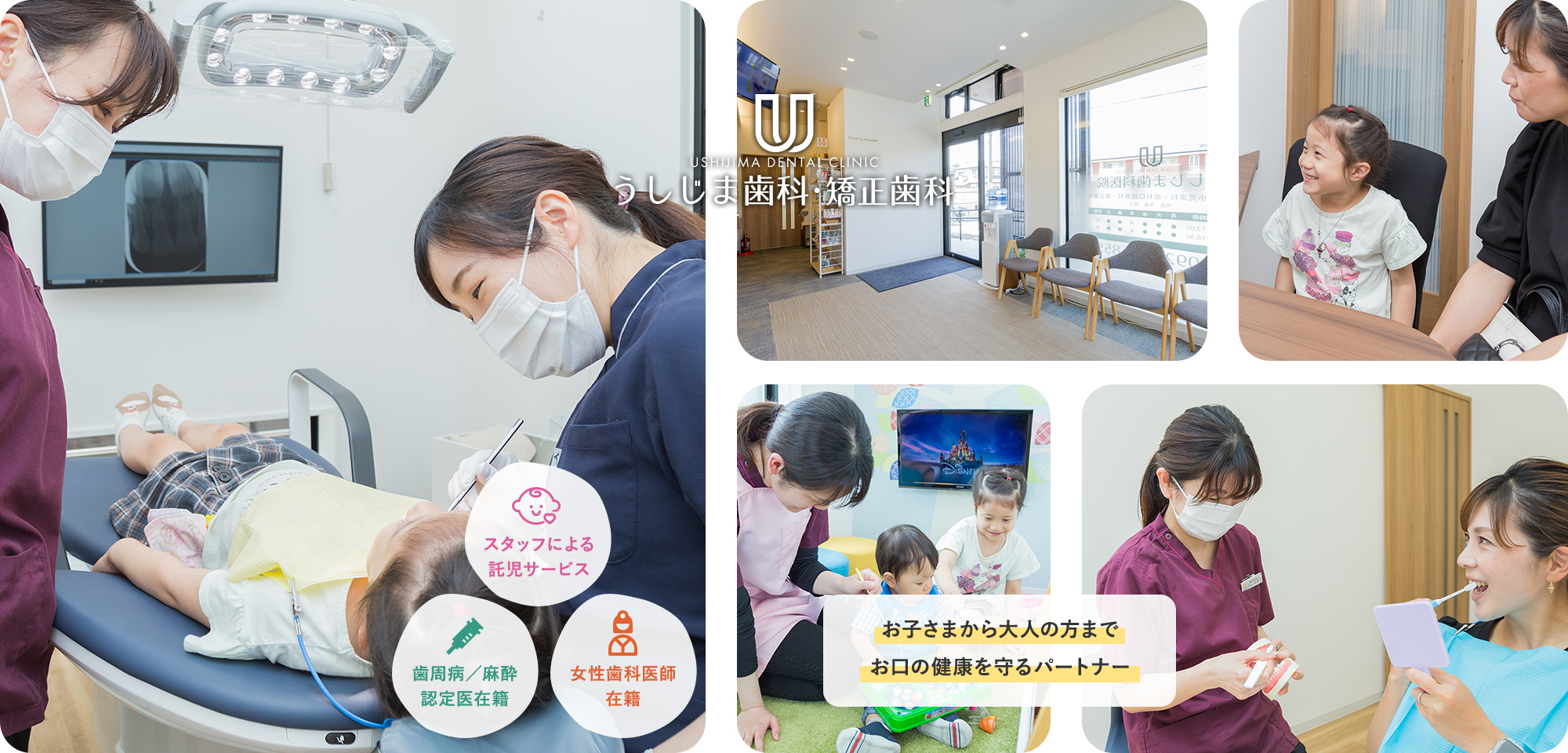 公式案内画像