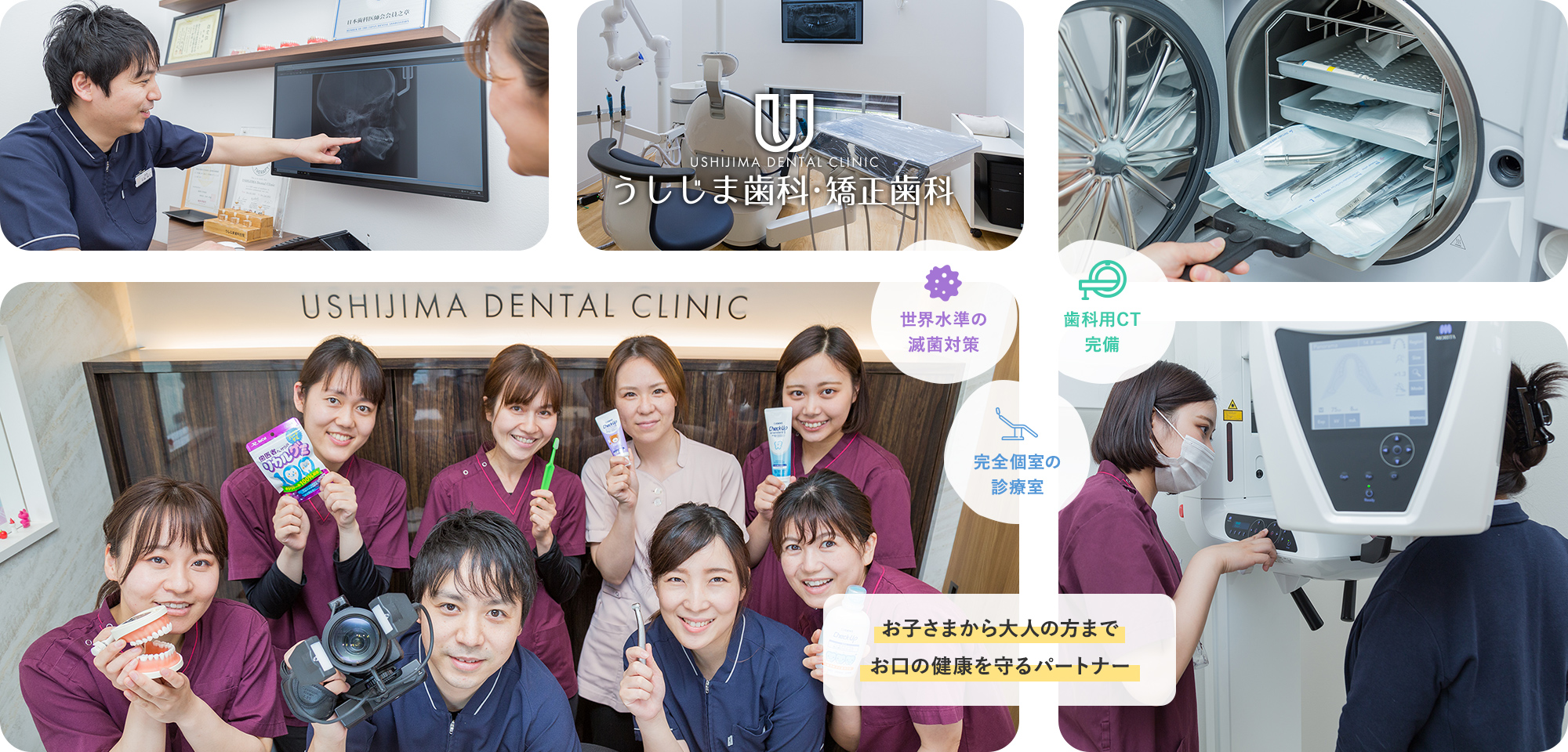 公式案内画像