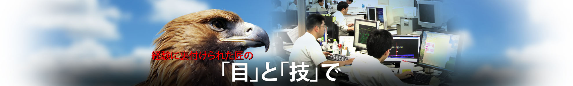 ヤマセイ株式会社 の写真