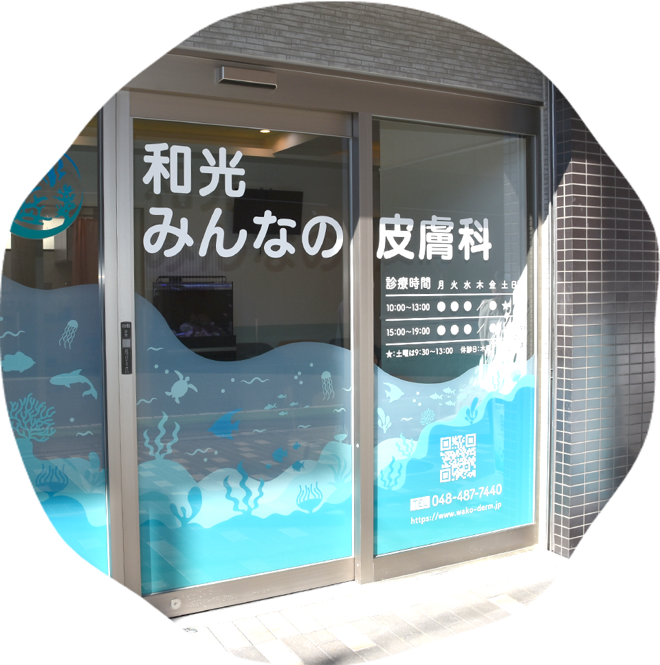 公式案内画像