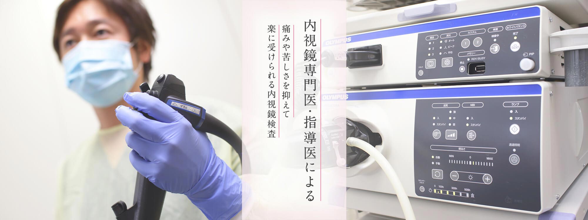 公式案内画像