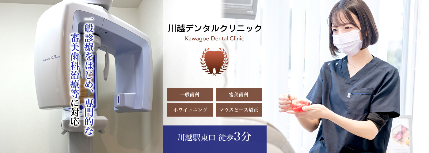 公式案内画像