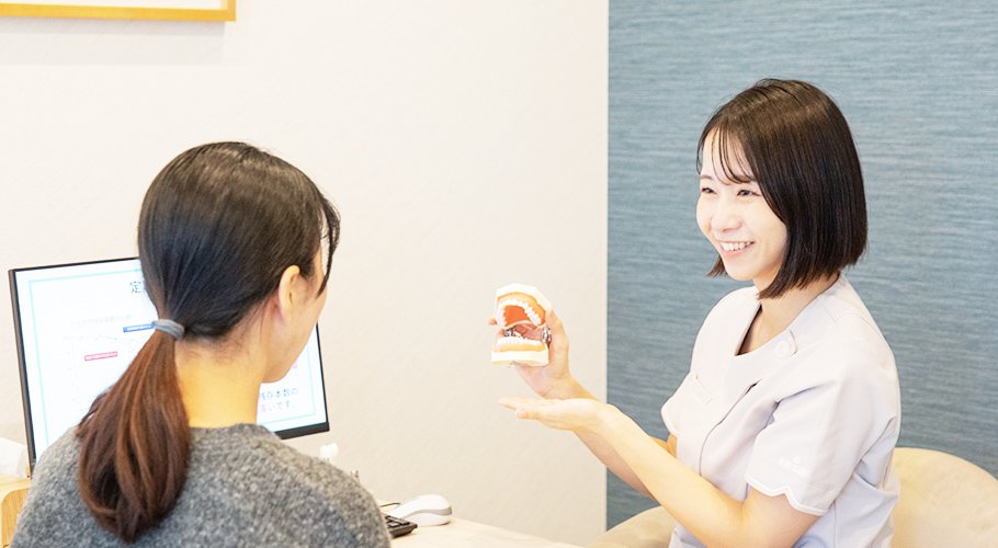 公式案内画像