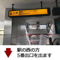 公式案内画像