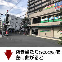 公式案内画像
