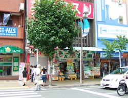 公式案内画像