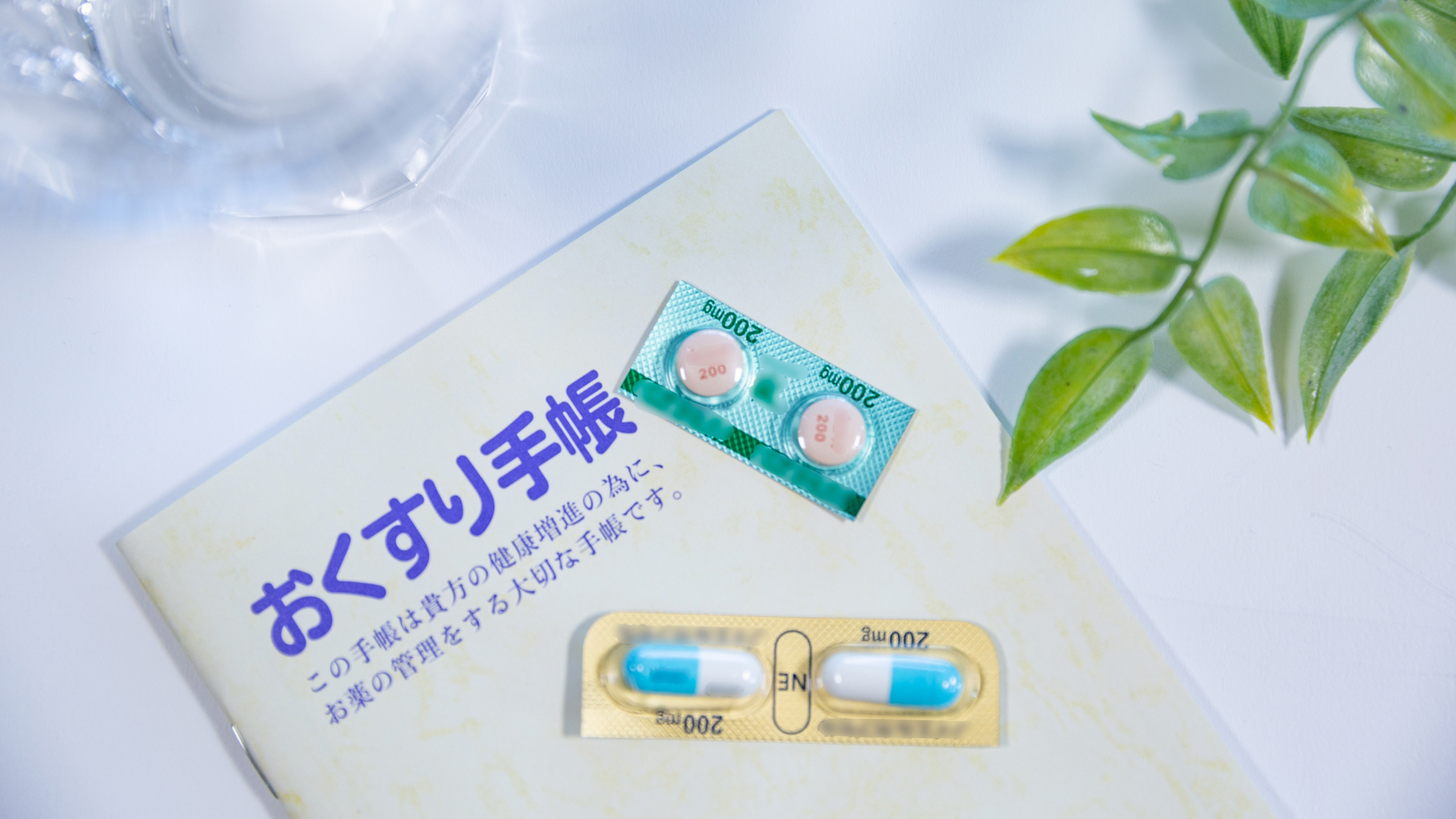 公式案内画像