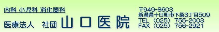 医療法人社団山口医院