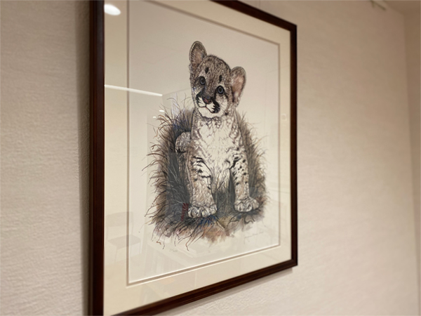 公式案内画像