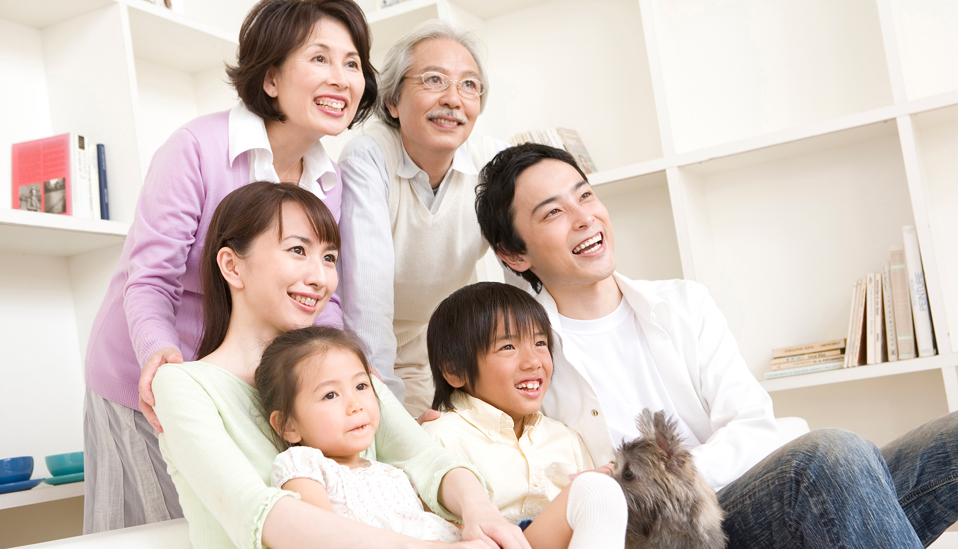 公式案内画像