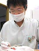 公式案内画像