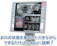 公式案内画像
