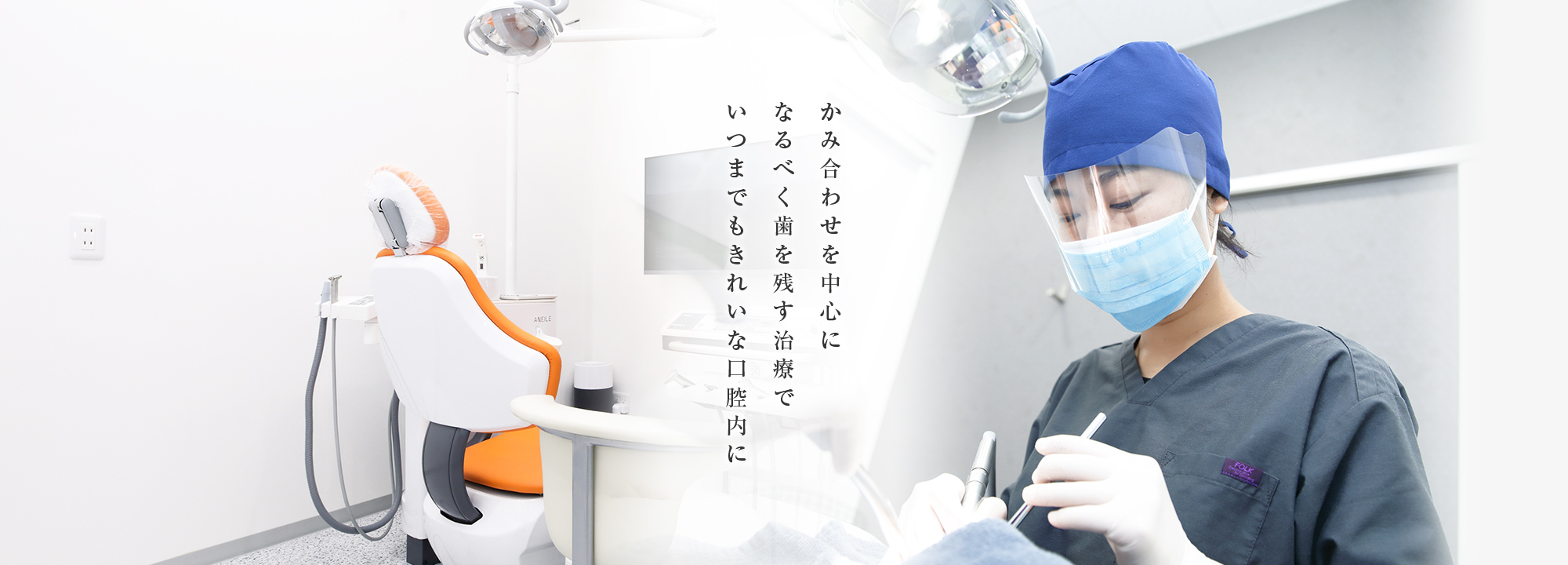 公式案内画像