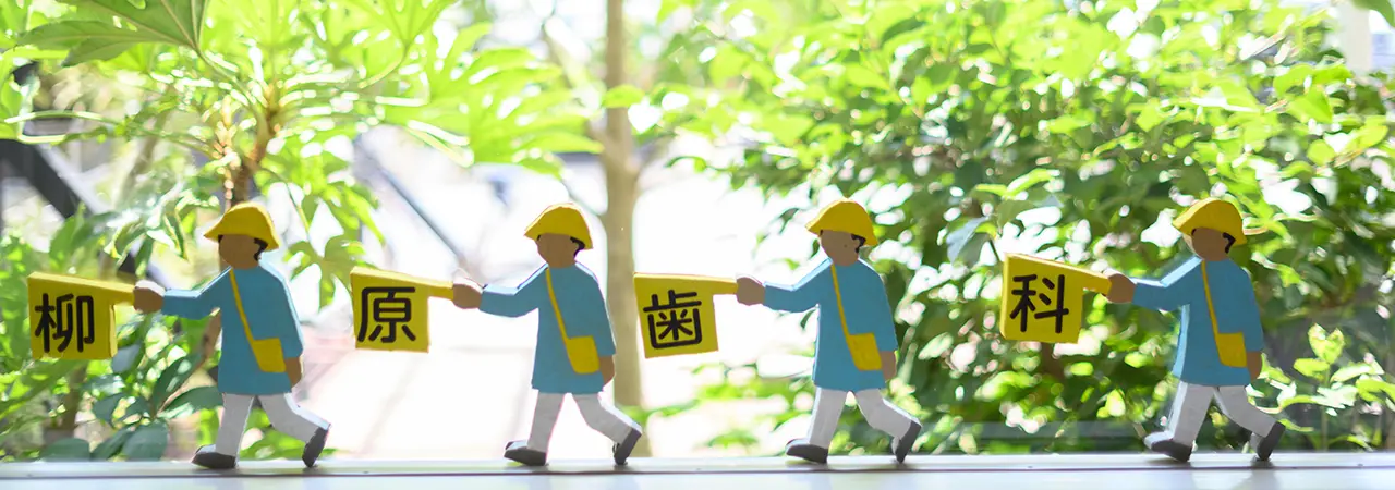 公式案内画像
