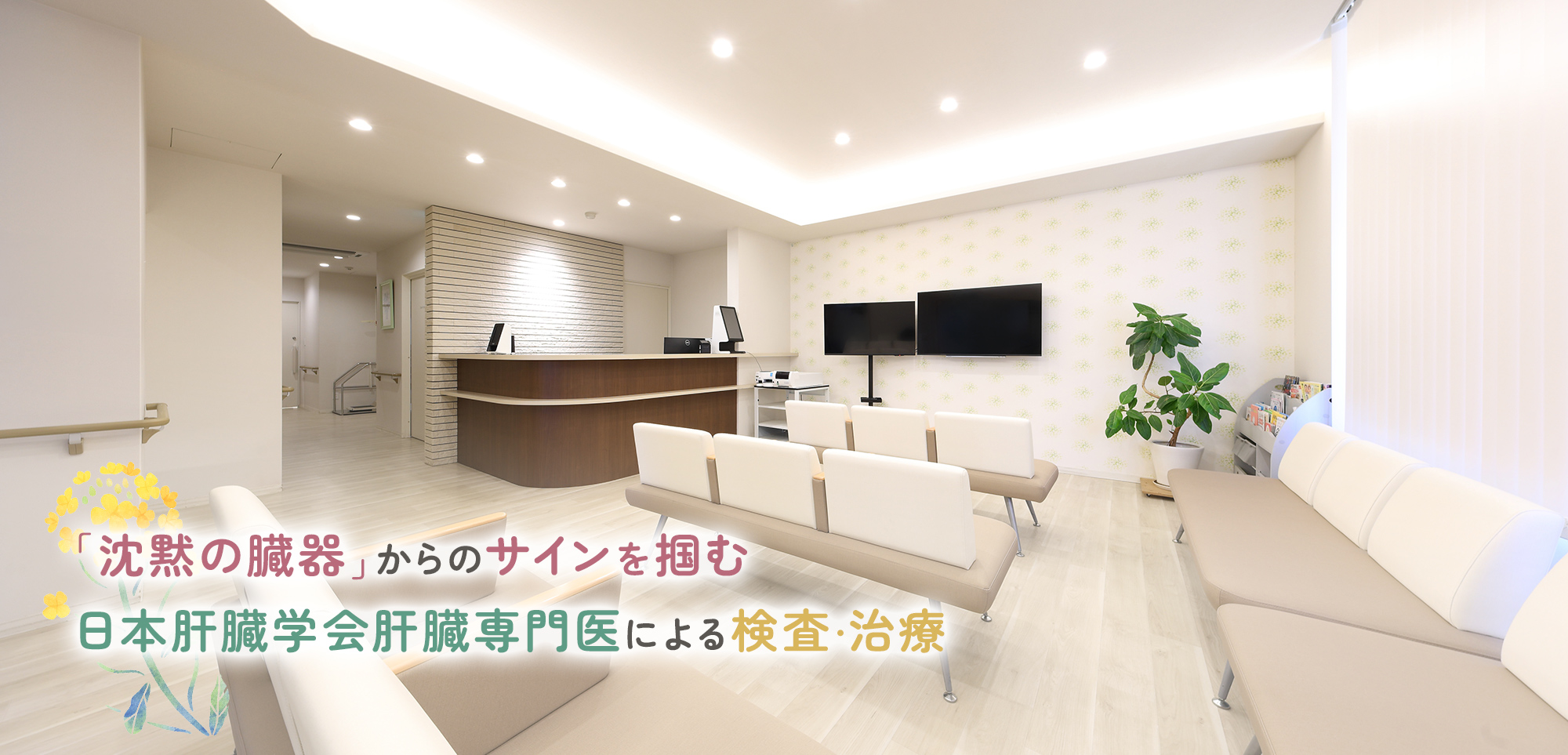 公式案内画像