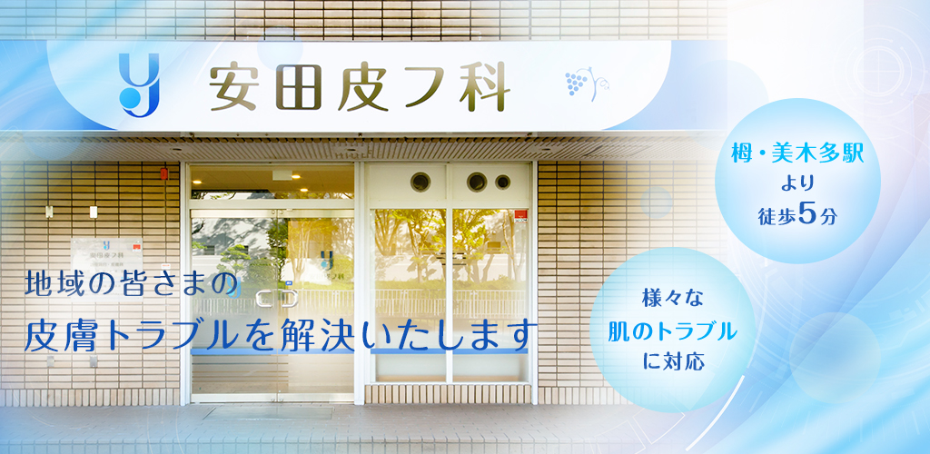 公式案内画像