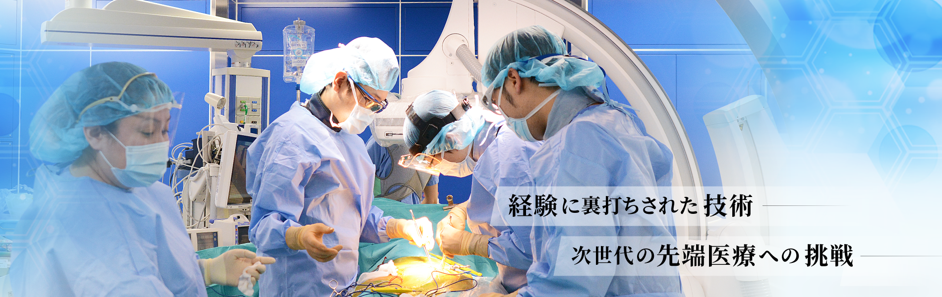 公式案内画像