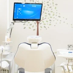 公式案内画像