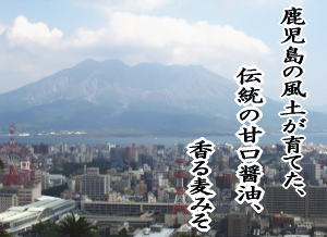 鹿児島甘口醤油、麦味噌　黒豚みそ専門醸造販売元　吉永醸造店 の写真