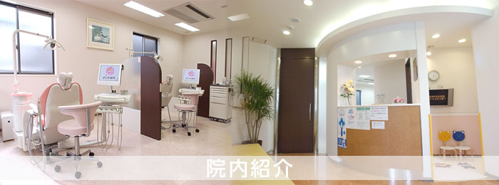 公式案内画像