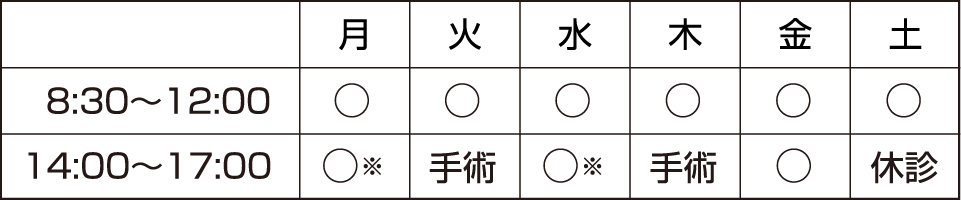 公式案内画像