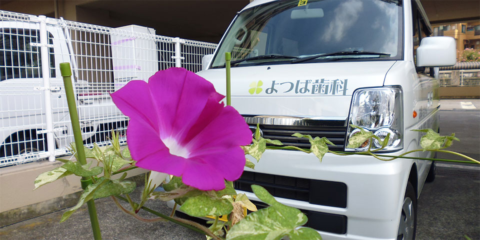 公式案内画像