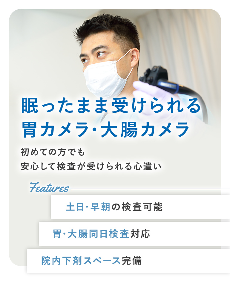 公式案内画像