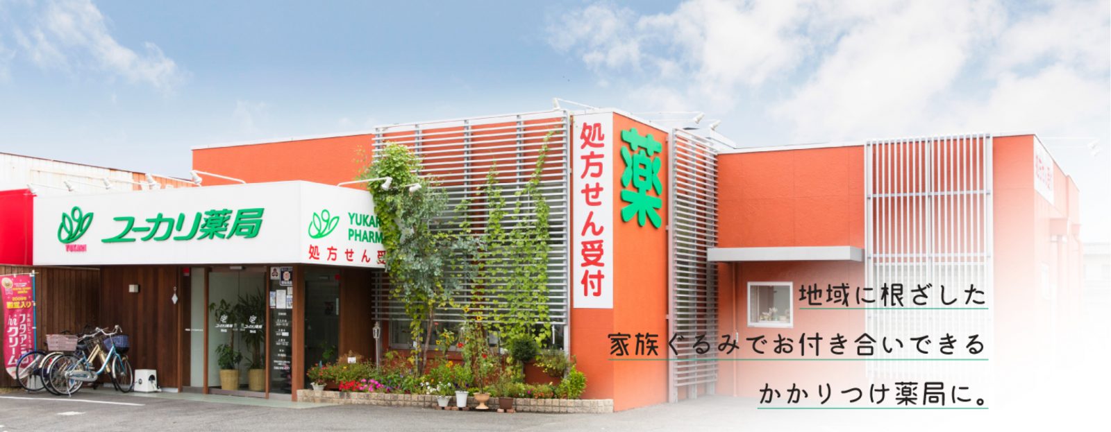 公式案内画像