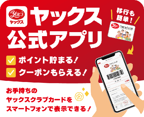 公式案内画像