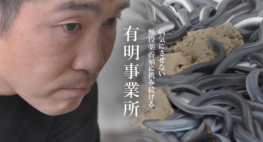 公式案内画像