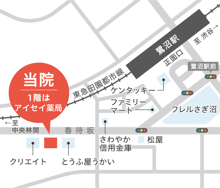 公式案内画像