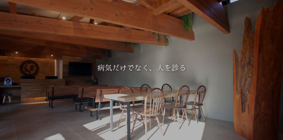 公式案内画像