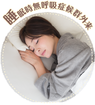 公式案内画像