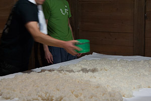 公式の酒造りページに掲載された蒸米に麹菌を扱う作業