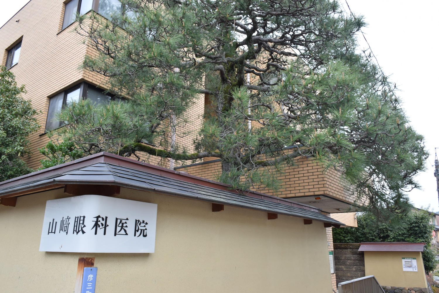 医療法人社団山崎眼科医院 の写真