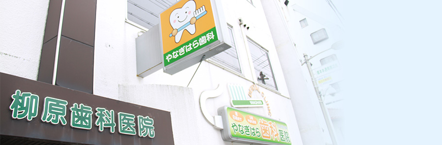 公式案内画像
